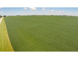 Property photo 35 - PRIME FARMLAND AUCTION - 716+/- ACRES OFFERED IN 8 TRACTS IN CASS & CARROLL COUNTIES